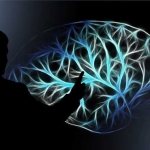 Органические поражения головного мозга: признаки и основные проявления