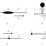 Рис. 1. Схематическое изображение нейронов и синаптической связи. Биполярный нейрон (а); псевдоуниполярный нейрон (б): 1 — рецепторное нервное окончание, 2 — периферический отросток (дендрит), 3 — тело нейрона, 4 — центральный отросток (аксон), 5 — окончание, контактирующее со вторым нейроном в цепочке, 6 — направление импульсации. Межнейронный контакт (в): 1 — первый нейрон, 2 — синапс, 3 — второй нейрон, 4 — направление импульсации. Мотонейрон (г): 1 — тело нейрона, 2 — центральный отросток (аксон), 3 — эффекторное нервное окончание, 4 — направление импульсации