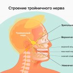Симптомы невралгии тройничного нерва в картинках